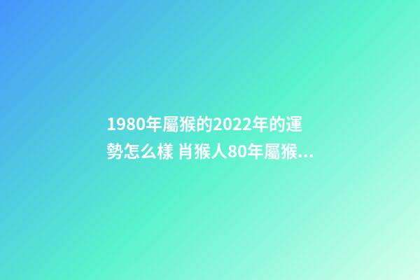 1980年屬猴的2022年的運勢怎么樣 肖猴人80年屬猴的2022年運氣-第1張-觀點-玄機派